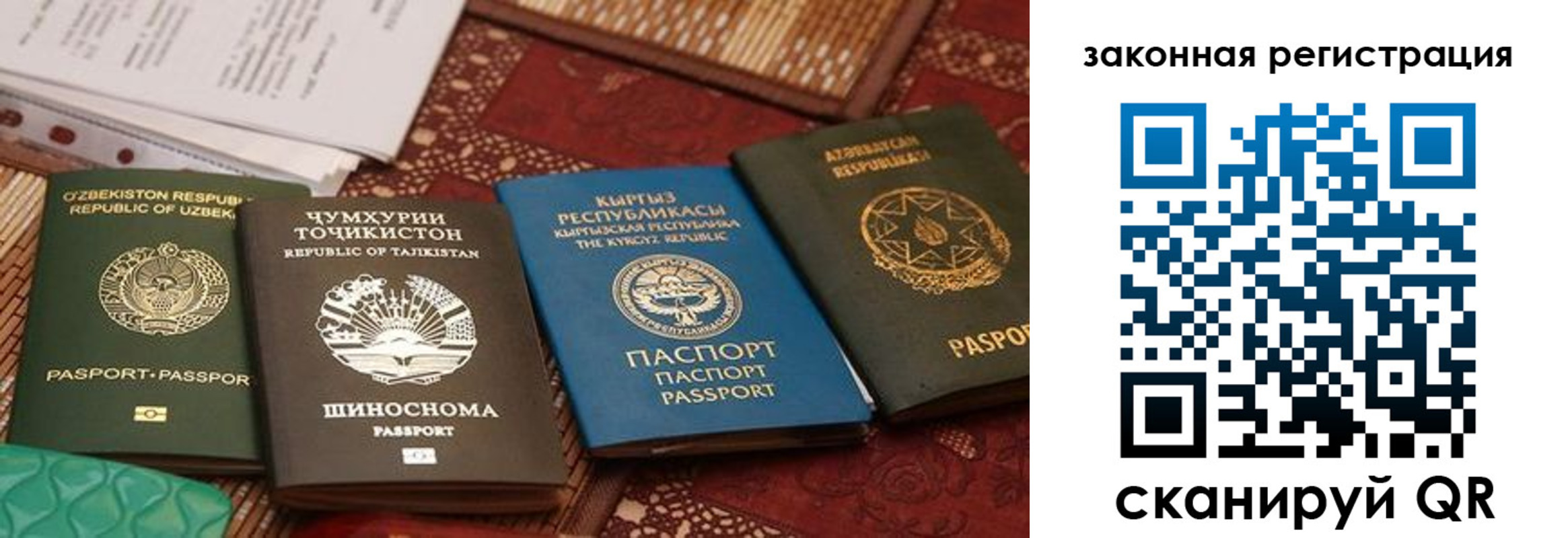пропишу в квартире в Александрове